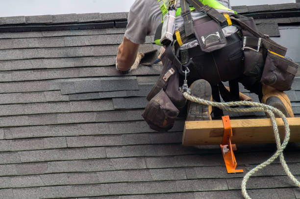 Best Flat Roof Repair Services  in Dane, WI