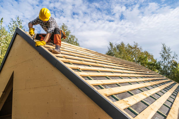 Best Gutter Installation and Roofing  in Dane, WI