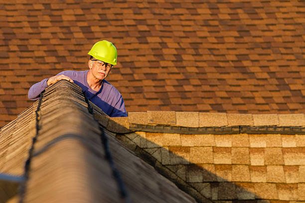 Best Local Roofing Companies  in Dane, WI